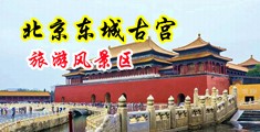 骚黄淫视频中国北京-东城古宫旅游风景区
